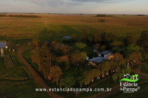 Fazenda com 1496 ha em Cachoeira do Sul localidade Irapu�.00_03_08_55.Quadro036_7a270993bce7765010f3f7e93bf4e4e0b7fb0392.jpg